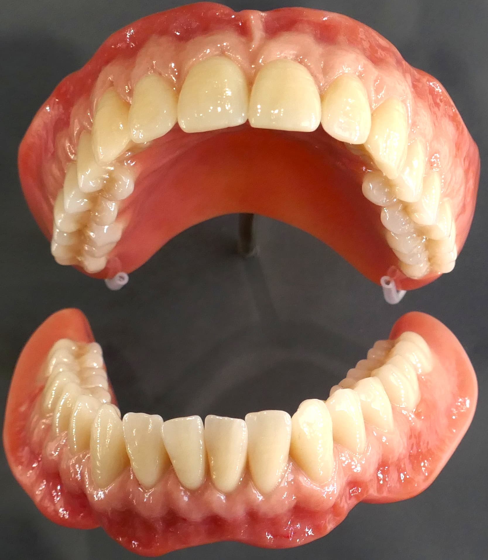 A set of full dentures on display